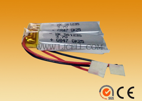 Li-Polymer&nbsp;battery