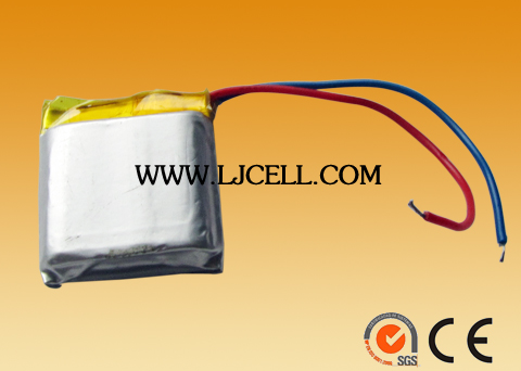 Li-Polymer&nbsp;battery
