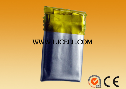 Li-Polymer&nbsp;battery