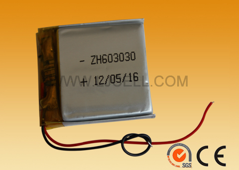 603030&nbsp;500mAH