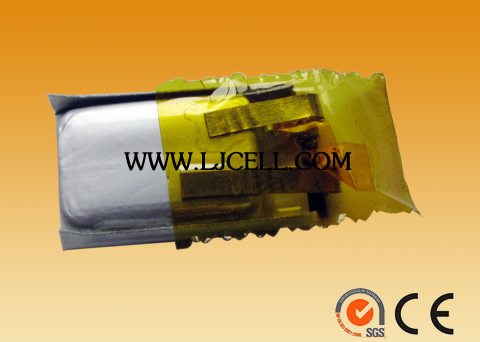 Li-Polymer&nbsp;battery